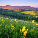      Advant Travel.    - http://bit.ly/32r802f    »
