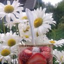 ���� ��������, ������, 47 ��� - ��������� 15 ���� 2017 � ������ ���� ����������