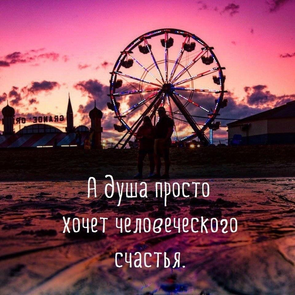   - 6  2017  19:42