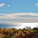  , , 60  -  1  2017   , ,29.10.17.