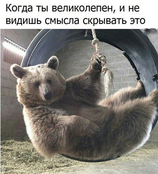    - 27  2017  13:21