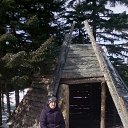  ,  , 44  -  11  2017    