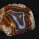 ���� ������, �����-��������� - ��������� 25 ������ 2017 � ������ �����������