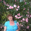 ���� �����, ���� - ��������� 13 ������� 2017 � ������ ���� ����������