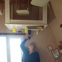  , , 41  -  22  2017   2017