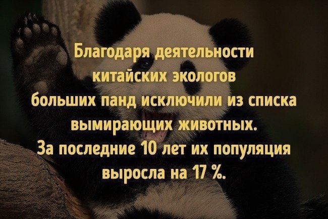 7  ,      . #@rules4life - 4