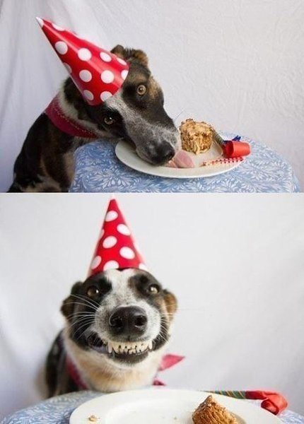 ��� �������� �������