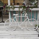  , , 60  -  30  2017   29.08.17.,  .