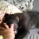 ���� ��������, ������������ - ��������� 24 ���� 2017 � ������ ������ ��������