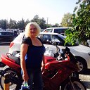 ���� ���������, ����, 56 ��� - ��������� 20 ���� 2017 � ������ ���� ����������