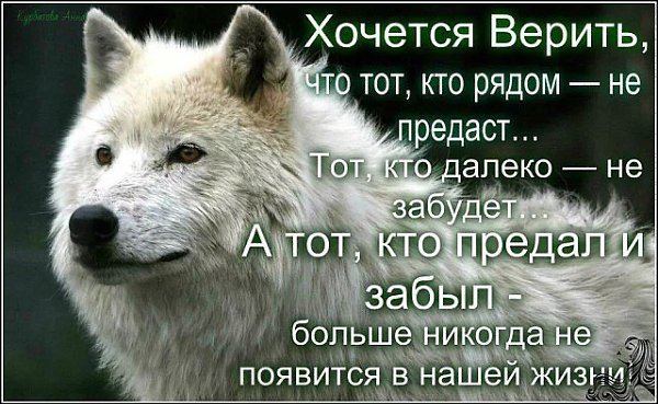 Главное не сломаться, быть сильнее, несмотря ни на что. Тяжёлые времена пройдут, и рано или поздно ... - 4