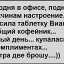 ���� �����, ������ - ��������� 24 ������ 2017 � ������ ������ ��������