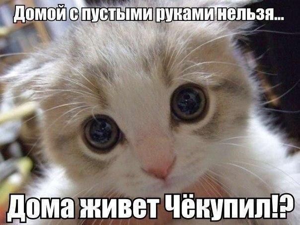    :D - 16  2017  17:33