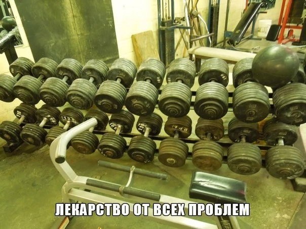  -   - 29  2017  22:33