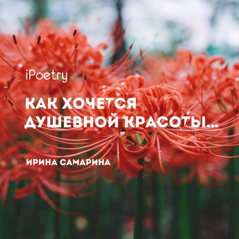 Как хочется душевной красоты….Открытости и честности взаимной… Тошнит от фоток с внешностью утиной И ...
