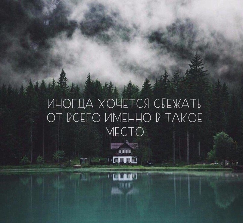  | ,  - 17  2017  16:57