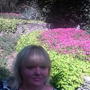  , , 41  -  28  2017   2017