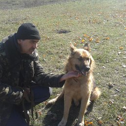 ���� ����, ������, 61 ��� - ��������� 28 ������� 2017