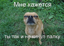   - 6  2017  18:48