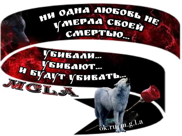    - 6  2017  15:24