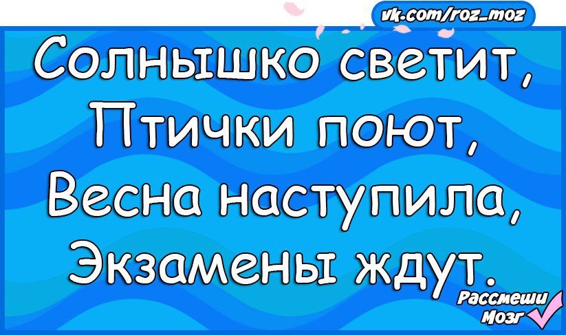  - 12  2017  12:41