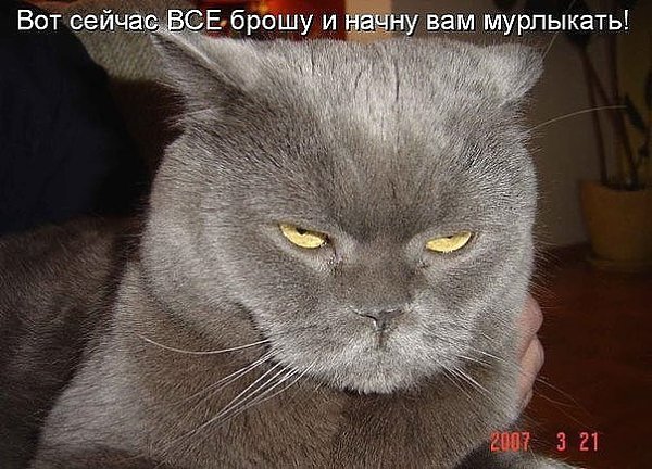 ***Victoria Viktorovna*** - 21  2017  16:54