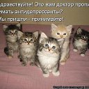 ���� Enigma, ������ �������� - ��������� 18 ������ 2017 � ������ ������ ��������