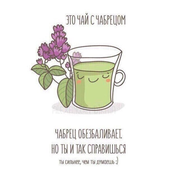  . - 3