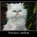 ���� �������, ������, 56 ��� - ��������� 25 ������� 2017 � ������ �21+�