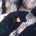 ���� ������, ������, 50 ��� - ��������� 13 ��� 2017 � ������ ���� ����������