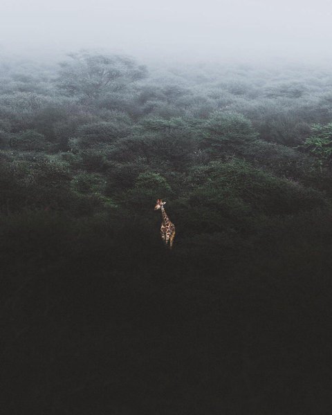 Africa - 7