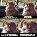 ���� ���������, ������, 46 ��� - ��������� 5 �������� 2017 � ������ ������ ��������