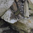 ���� �������, �����-���������, 58 ��� - ��������� 6 ������� 2017 � ������ ���� ����������