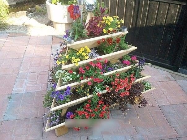 ���� ��� ���� - 3