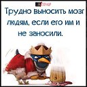 ���� Liliya, �������� - ��������� 1 �������� 2017 � ������ ������������ ����� ������