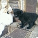 ���� �����, ����� ������, 50 ��� - ��������� 7 ��� 2017 � ������ ���� ����������