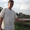  , , 62  -  27  2017     .