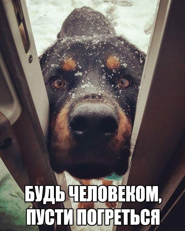    :D - 12  2017  01:32