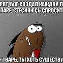 ���� �����, ���������, 52 ���� - ��������� 4 ������ 2017 � ������ ���� ����������
