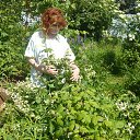 ���� �������, ������ - ��������� 19 ���� 2017 � ������ ������ ��������