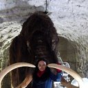 ������, ����� ������ �������� �� ������� ��������