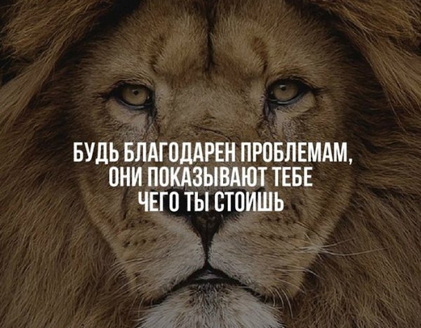 BEST | , ,  - 10  2017  16:34