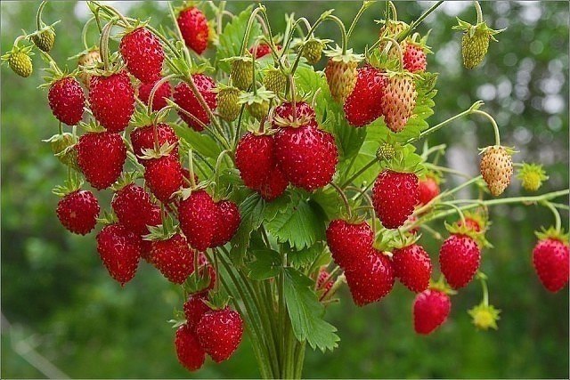 ������ ����........ - 3