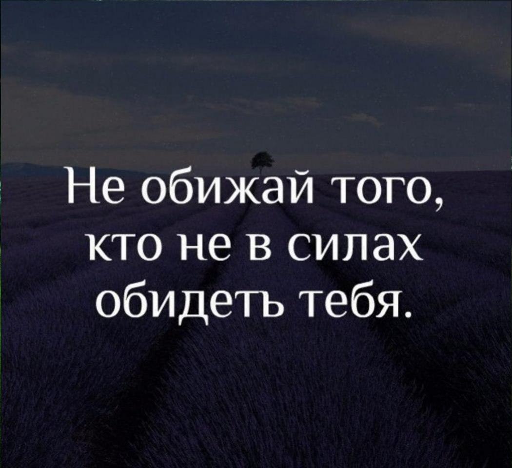   - 25  2017  13:00