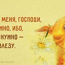 ���� �������, ���������, 64 ���� - ��������� 17 ���� 2017 � ������ ������ ��������