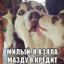 ���� I, ������, 52 ���� - ��������� 22 ������ 2017 � ������ ������ ��������