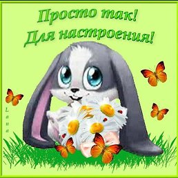 ���� �����, ���������� - ��������� 23 ���� 2017