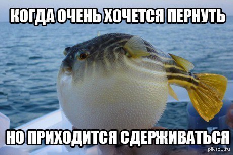 Comedy Club - 2  2017  15:55