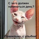  ]{()   -]{ @, -- -  31  2017    