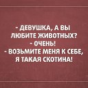 ���� ����, ������ - ��������� 16 ��� 2017 � ������ ���� ����������